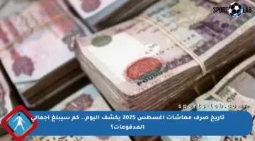 تاريخ صرف معاشات أغسطس 2025 يكشف اليوم.. كم سيبلغ إجمالي المدفوعات؟